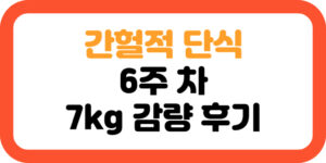 간헐적 단식 시간, 6주 차 7kg 감량 후기 썸네일