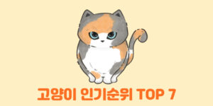 고양이 인기순위 TOP 7, 우리나라 인기 반려묘 품종은 썸네일