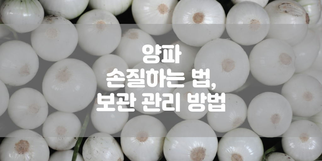 양파 손질하는 법, 보관 관리 방법 썸네일