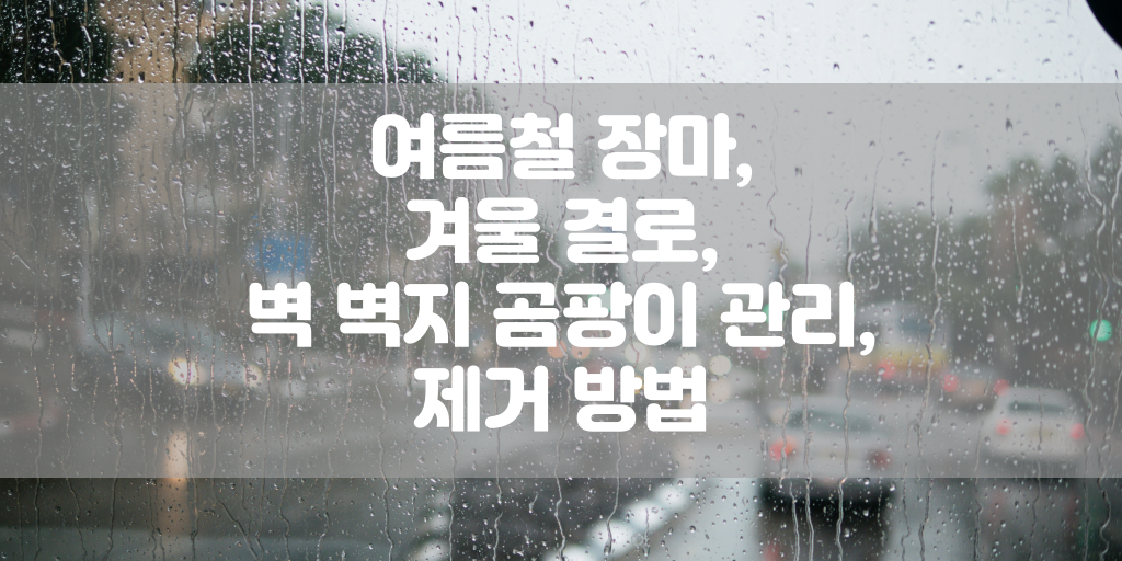 여름철 장마, 겨울 결로, 벽 벽지 곰팡이 관리, 제거 방법 썸네일