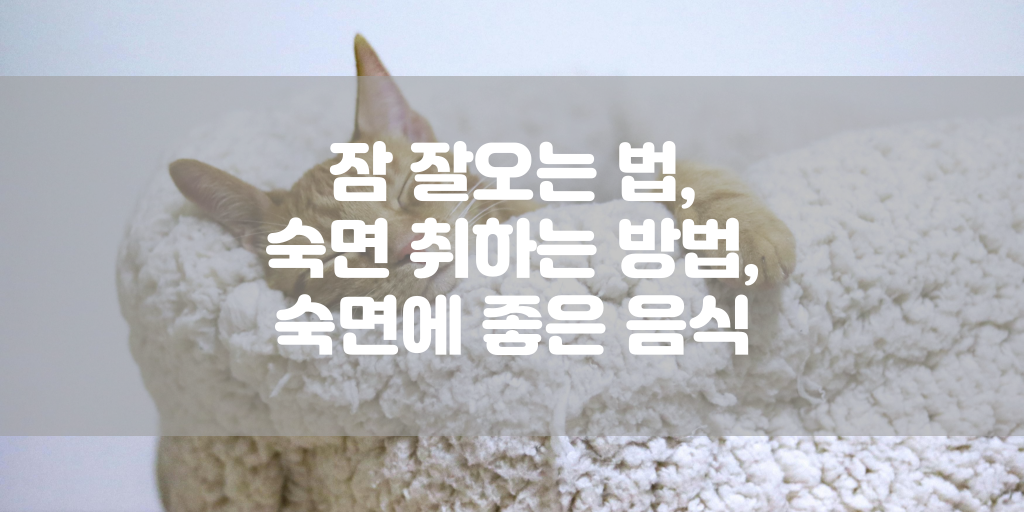 잠 잘오는 법, 숙면 취하는 방법, 숙면에 좋은 음식 썸네일